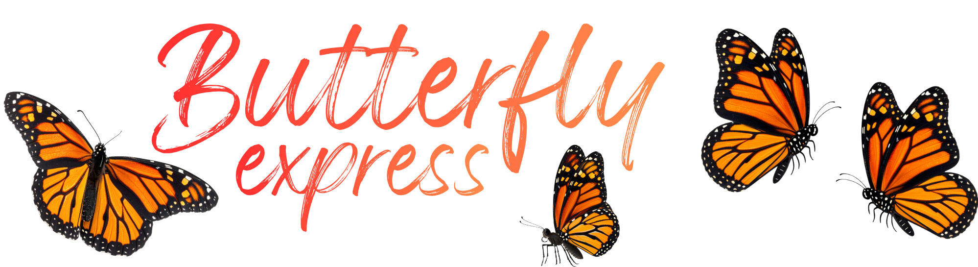Butterfly Express - Northern Central Railway